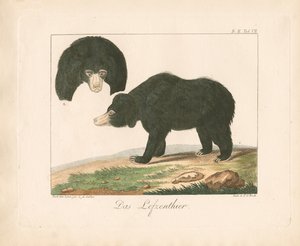  de Ambrosius Gabler