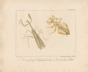  de Ambrosius Gabler
