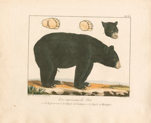  de Ambrosius Gabler