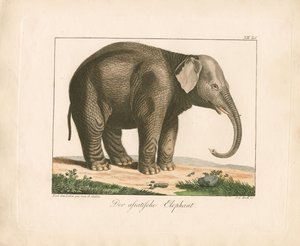  de Ambrosius Gabler