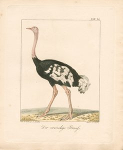  de Ambrosius Gabler