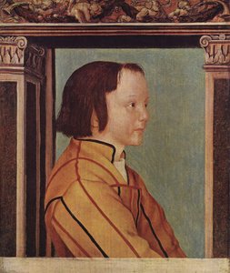 Chico de pelo castaño