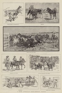 Una estación de cría de caballos en Australia del Sur