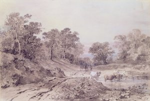 Un camino rural entre árboles de Amelia Long