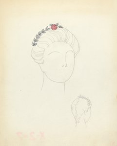 Ornamento para el cabello