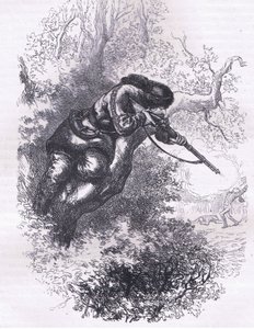 Tirador americano en un árbol, ilustración de la Historia de los Estados Unidos de Cassell publicada por Cassell, Petter & Galpin, c.1900