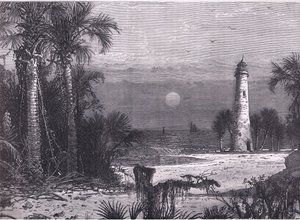 Vista de la costa de Florida, ilustración de la Historia de los Estados Unidos de Cassell publicada por Cassell, Petter & Galpin, c.1900 (litografía)