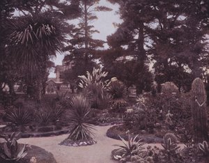 Un jardín de cactus del sur de California (foto en b/n) de American Photographer (after)