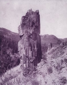 Un árbol petrificado en las tierras baldías de Dakota (foto en b/n) de American Photographer (after)