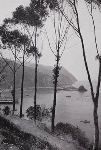 California: Bahía de Avalon, Isla Santa Catalina, tierra mágica de juegos en el Océano Pacífico a 30 millas de la costa del sur de California de American Photographer (after)