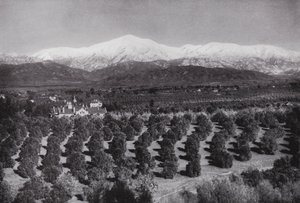 California: Redlands, desde Smiley Heights, sol, huertos de naranjos y picos nevados de American Photographer (after)