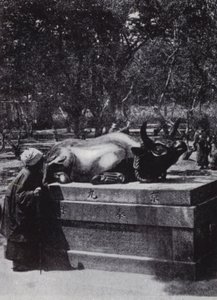 Mujer devota acariciando un toro de bronce (foto en blanco y negro) de American Photographer (after)