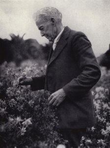 Luther Burbank entre sus flores de American Photographer (after)