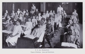 Investigación Escolar de Nueva York
