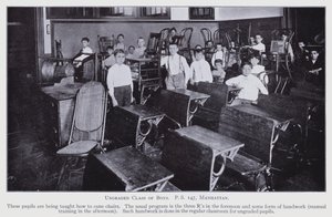 Investigación Escolar de Nueva York