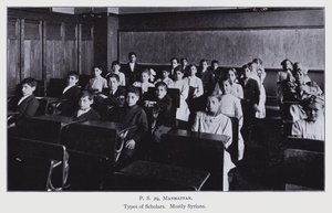 Investigación Escolar de Nueva York