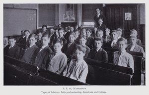 Investigación Escolar de Nueva York