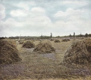 Oregón: Alfalfa de American Photographer (after)