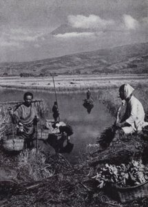 Campesinos recogiendo juncos en el gran distrito vegetal de Suzukawa de American Photographer (after)