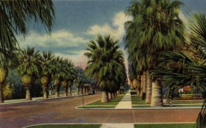 Phoenix, Arizona: North Central Avenue de American Photographer (after)