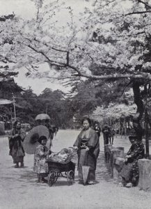 Bajo los cerezos en flor en el Parque Shiba, Tokio (foto en blanco y negro) de American Photographer (after)