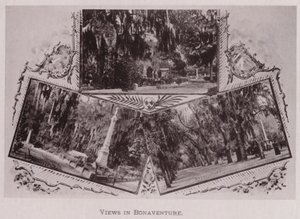 Vistas en Bonaventure de American Photographer (after)