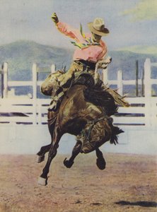 Vaquero domando un caballo