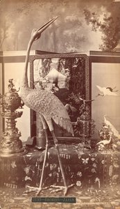 Exposición de bronces japoneses, Pájaros, Exposición Internacional del Centenario, Filadelfia de American Photographer