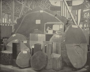 El Hacha de Gladstone de American Photographer