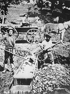 Buscadores de oro usando un canalón 