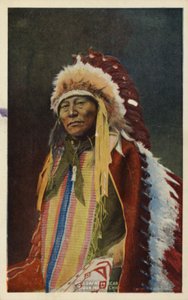 Oso Cuerno Hueco, jefe indio sioux (foto) de American Photographer