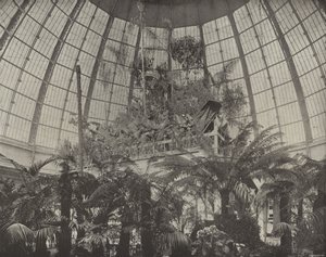 Interior de la Cúpula Hortícola de American Photographer