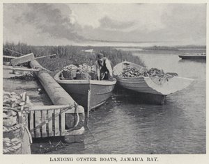 Desembarco de Barcos de Ostras, Bahía de Jamaica de American Photographer