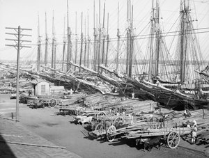 Muelle Tallapiedras, La Habana, c.1904 de American Photographer