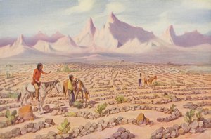 Laberinto místico de los indios Mojave, cerca de Needles, California (foto coloreada) de American Photographer