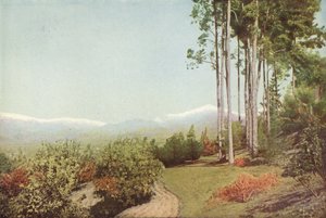 Old Baldy, desde Smiley Heights, California