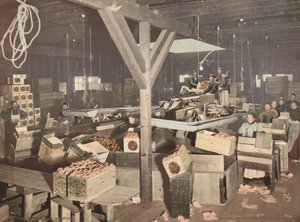 Empaquetado de naranjas en Redlands,publicado en 1899 (foto) de American Photographer
