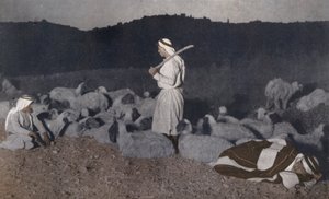 Pastores palestinos vigilando su rebaño por la noche (foto en color)