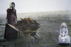 Mujer pionera recogiendo estiércol de ganado, Kansas, c.1880 de American Photographer