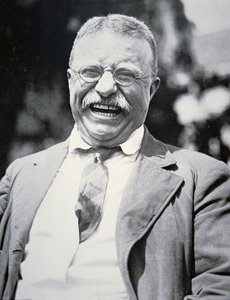 El presidente Theodore Roosevelt, c.1917