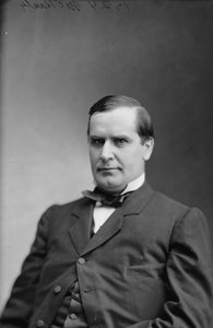 Presidente William McKinley, 1870-80