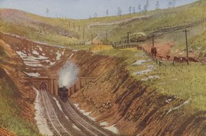 Túnel de Ratón, punto más alto de Santa Fe (foto en color)