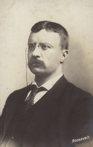 Roosevelt de American Photographer