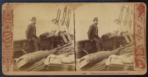 Tiburones capturados en Barbados, Indias Occidentales (foto b/n) de American Photographer