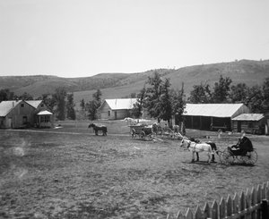 El rancho Haylie, condado de Crook, Wyoming, c.1890 de American Photographer