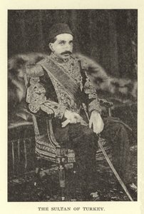 El Sultán de Turquía de American Photographer