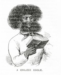 Un Coolie Civilizado, ilustración de Appletons Journal, 4 de mayo de 1872 de American School