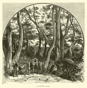 Un camino rural