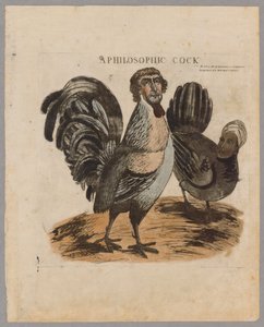 Un gallo filosófico, 1804 de American School