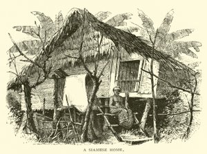 Un hogar siamés de American School